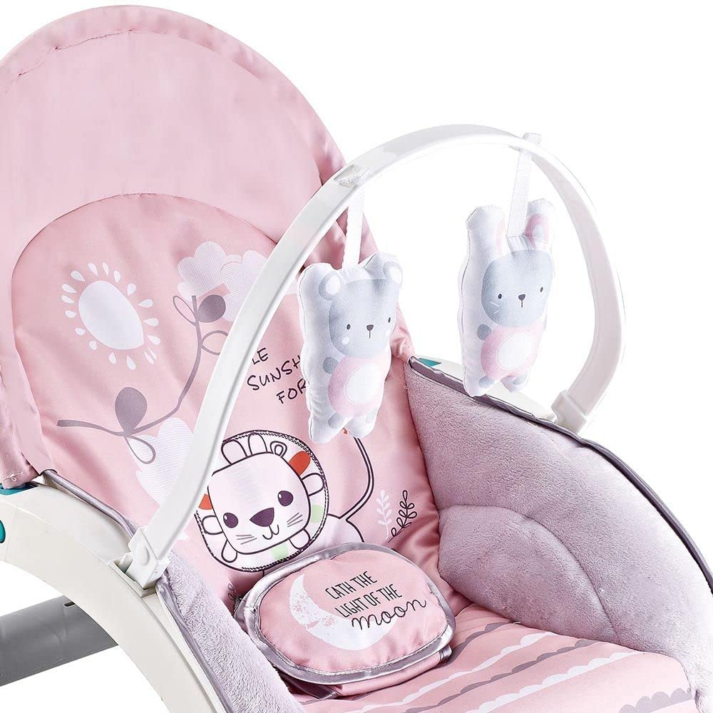 Fiddly's Newborn to Toddler Rock N Play Baby Rocker with Soothing Music and Vibration, Rocker Chair for Baby, Adjustable backrest Recline Feature, Detachable Toy Bar