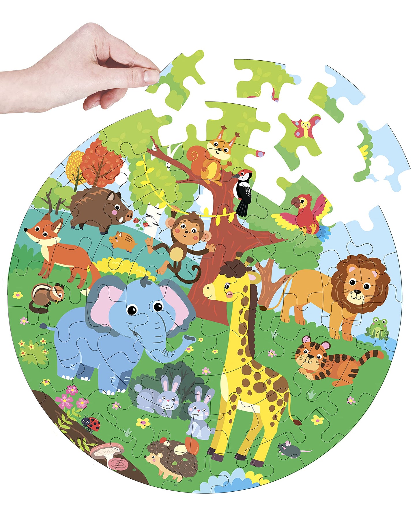 Fiddlys Creative Wooden Jigsaw Puzzle for Kids | 66 Pieces Educational Single Layer Puzzle | Fun & Learning Toy for Children Ages 3+