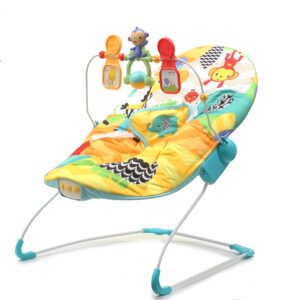 Fiddly's Baby Bouncer Cum Rocker